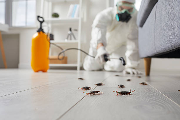 Commercial Kitchen Cockroach Control in Northwest Harbor